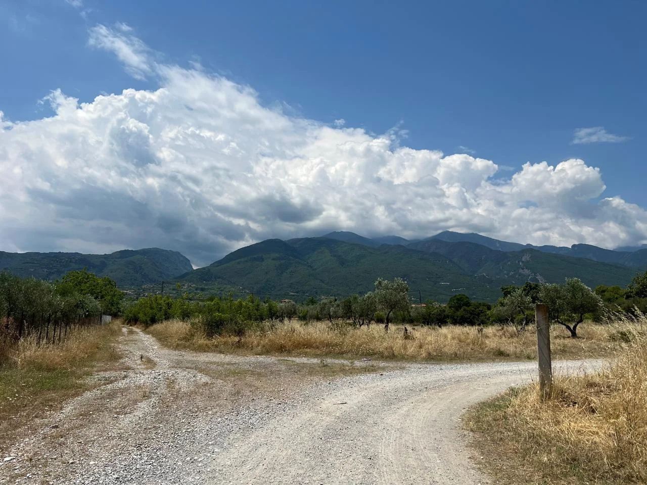 Αγρόκτημα 700μ. άνω της Εθνικής Οδού
